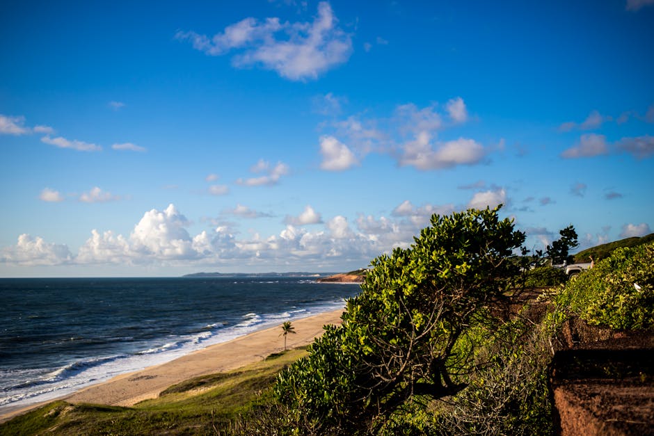 Idyllic coastal view of Pipa Beach in Brazil with clear skies and lush greenery.