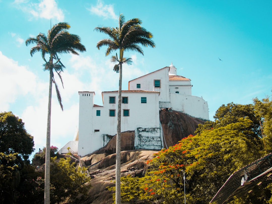 white concrete building near palm tree during daytime